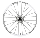 ✅ Material: Vinyl matt DualColorStampe Aufkleber kompatibel mit Campagnolo Felgen 26 Zoll – 27,5 Zoll – 28 – 29 Zoll – Fahrrad MTB Bike Sticker Felgen MTB B0018 (28 – 29 Zoll, mattschwarz)