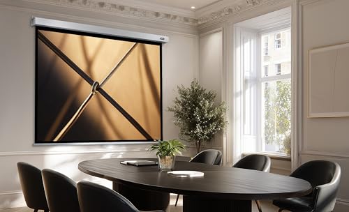 Écran de projection extensible manuellement 120 pouces celexon Pro Plus 1:1 - 4