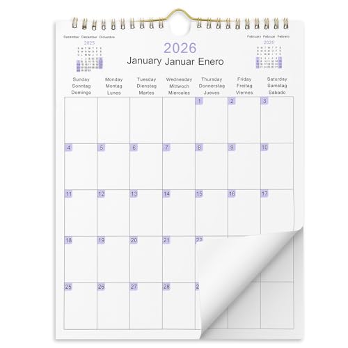 Ouligay Calendario de pared 2026, grande, 28 x 22 cm, calendario 2026, calendario mensual, de enero a diciembre, calendario de pared para casa y oficina, planificador familiar, calendario mensual