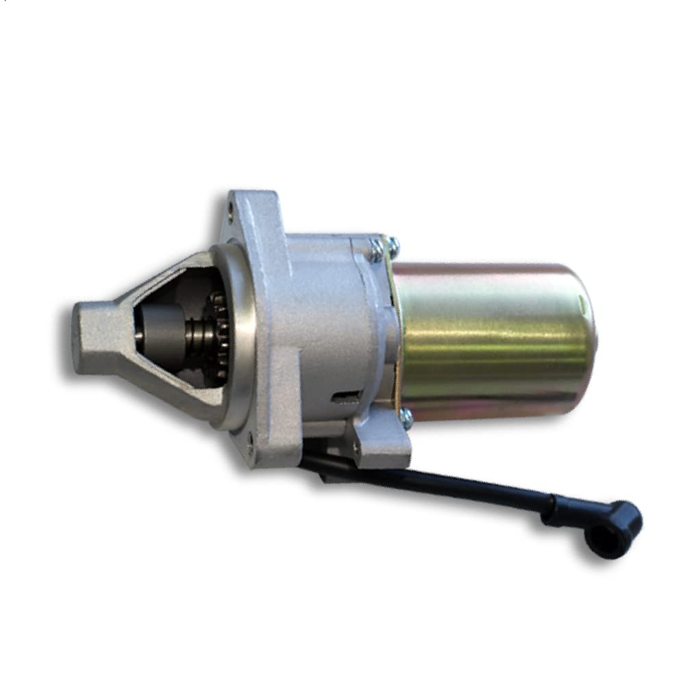 Wiltec Pezzo di Ricambio Motorino di avviamento LIFAN per Motore a Benzina 13 CV