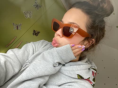 FEISEDY Women Men Retro Vintage Cat Eye Square 90s Sunglasses Jelly Colored Classic 70s Eyewear B29024