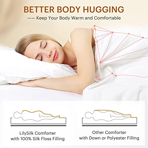 Lilysilk All Season Silk Comforter/Duvet/Quilt, 100% Long Strand Silk Floss Filling With 100% Cotton Cover, Breathable And Warm Queen(87X90 Inch,Silk Weight:1.75Kg) #TOP6