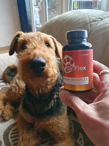 Dr. Flex Gelenktabletten Hund 110 hochdosierte Komplex-Kapseln mit Glucosamin Hund, Chondroitin, MSM, Kurkuma, Hyaluronsäure, Piperin für Knochen Gelenke Knorpel Senioren aktive Hunde