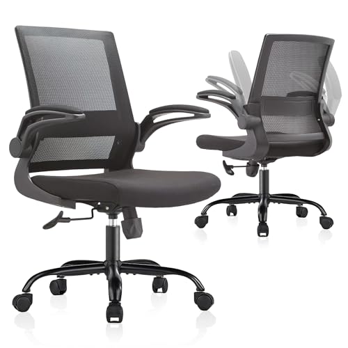 Cervesit Mesh Office Chair