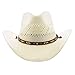 Stetson Santa Fe, Color: Natural, Size: L (TSSTFE-833481L0)