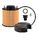 Baldwin PE5270 Ancillary Products Fluid Filter (2-23/32 x 3 In)