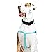 Youly Adjustable Dog Harness Turqoise X-Small/Small