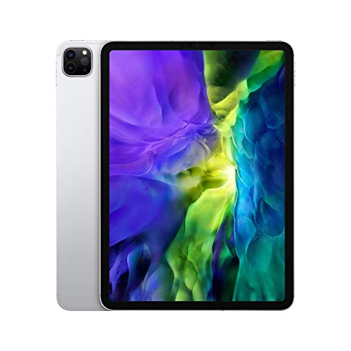  Apple iPad Pro 11 (2nd Gen) 256GB 4G - Argento (Ricondizionato)