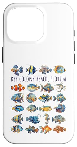 �L�[�R���j�[�r�[�`�t�����_�J���t���t�B�b�V���f�U�C�� �X�}�z�P�[�X iPhone 16 Pro �p