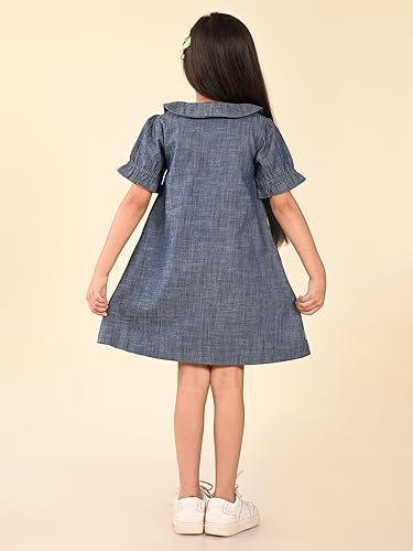 Image of LILPICKS Pineapple Applique Button Down A-line Denim DressFor Girls (Blue)