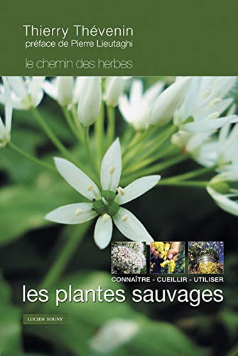 Télécharger Les plantes sauvages : Connaître, cueillir et utiliser Gratuit
