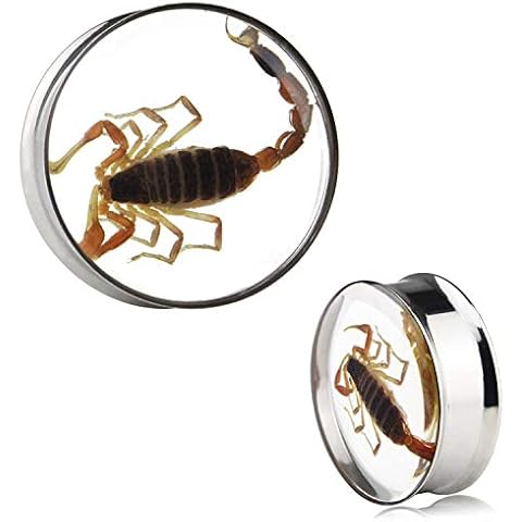 Awinrel Ear Gauges Plugs Genuine Scorpion Inlay Stainless Steel Double Flare Tunnels Stretching Expander Body Piercing Jewelry 2 Pieces, Metal Resin Cover