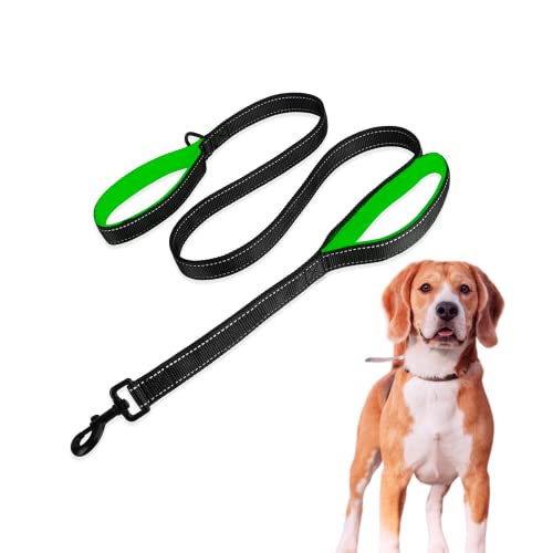 Edipets, Guinzaglio per Cani Grande, con Doppia Maniglia Imbottita, Riflettente, 1,8 m, Antiscivolo, per Cani Medi e Grandi (Blu/Verde)