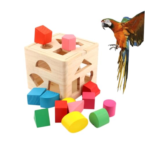 SEWACC pςݖ؃gX ̉^i mpbggC fގgp ^IEpVѓ