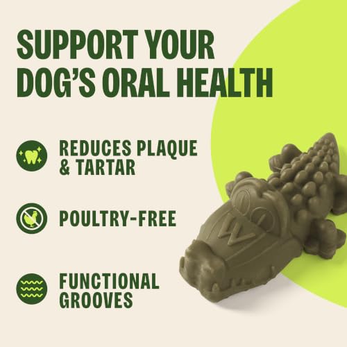 Whimzees Wellness Alligator Natural Dog Dental Treat, Chews, Freshens Breath, Medium Size, 12.7 oz Bag, 12 Count - Image 4