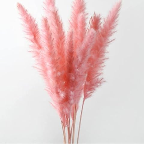 10Pcs Artificial Natural Dried Pampas Grass Flower Bunch,Artificial Flowers Reed Grass with Tall Fluffy Reed,for Home Wedding Photograp Decor (Pink) Cover