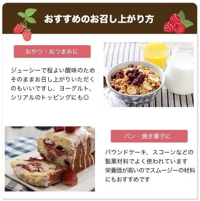 小島屋 】 ドライ ラズベリー 500g オレゴン産 ドライフルーツ 専門店 【パラト】 創業60年
