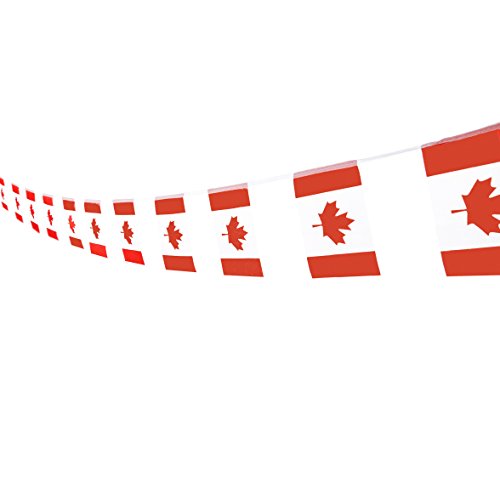 TSMD Canada Flag, 100 Feet Canadian Flag National Country Flags Banner,Party Decorations Supplies for Grand Opening,Olympics,Bar,School Sports Events,International Festival Events Celebration