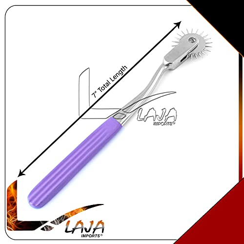Wartenberg-Pin-Wheel-Purple-Color
