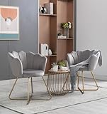 Anwickmak Modern Velvet Accent Chair Set of 2, Accent Chair for Living Room Bedroom Home Office, Golden Finished (Grey)
