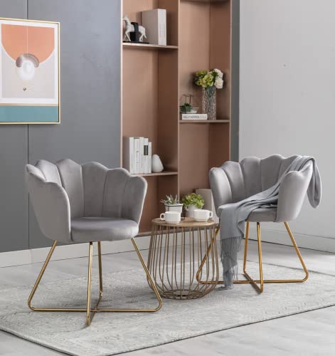 Anwickmak Modern Velvet Accent Chair Set of 2, Accent Chair for Living Room Bedroom Home Office, Golden Finished (Grey)