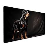 【ALFOMBRILLA DE RATÓN GRANDE】：Esta alfombrilla de ratón cubre el área para un teclado y un ratón de tamaño completo, lo suficientemente grande como para contener su computadora portátil, teclado y otros elementos de escritorio, con mucho espacio para el movimiento de su ratón