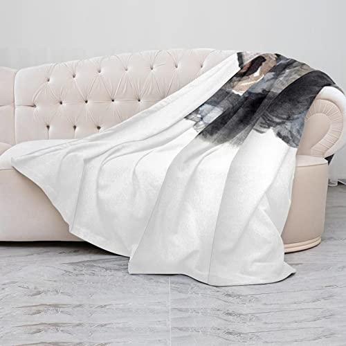 Couverture pour chien adulte et enfants Jamthund contre les poils sur lit et canapé - 5