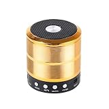 Caixa de Som Portátil com Bluetooth e Microfone Embutido - Conectividade Sem Fio, Ideal para Festas e Eventos (Dourado)