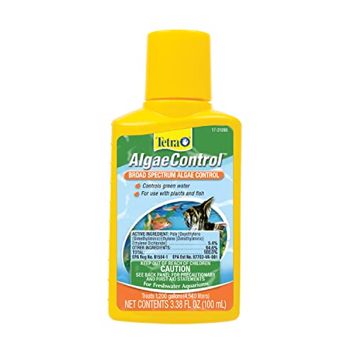 How To Get Rid Of Green Water In Fish Tank Aqua Movement