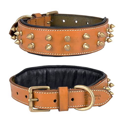 DowgClub, Brown - Gold Spikes, M (Fit Neck Size 14.5"-18.5")