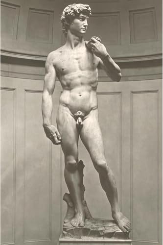 ART.COM Wall Art Print Michelangelo's David, 12