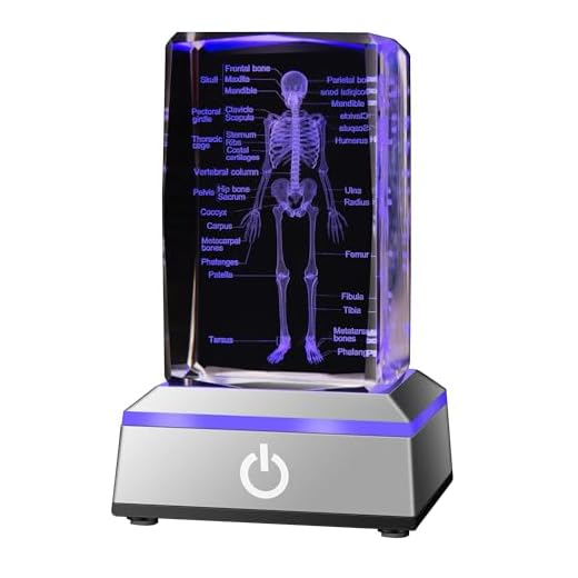 IFOLAINA Human Skeleton Model Body 3D Laser Crystal Skeleton System Each Bone with Name on a Colorful LED Light Base for Study Guide