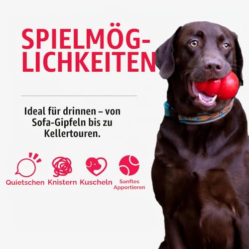 Kong - Sherps Llama - M - 1 Stück