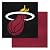 FANMATS NBA Miami Heat Nylon Face Team Carpet Tiles