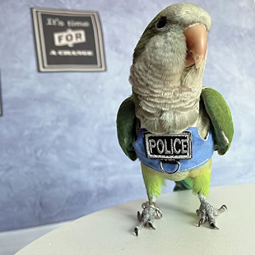 Colete para pássaros, traje de voo de papagaio com coleira, roupa de pássaro voando com corda e alça