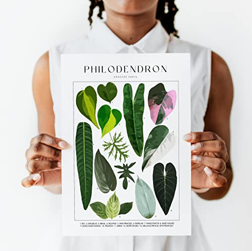 Plant Poster Set Of 4 Unframed - Botanical Wall Art - Plant Stuff - Green Wall Art - Plant Wall Art - Plant Art Wall Prints - Plant Prints - Plant Pictures Wall Art - 8X10" (Folia) #TOP7