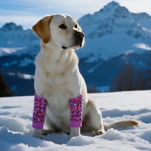 Image of Dog Elbow Wraps Knee Protector Pads Elbow Callus Treatment Sleeve for Wounds Front Legs Prevent Licking for Medium Large Dogs XL, Leopard