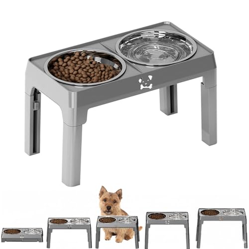 Lifetips m[b`eAiNorwich Terrierj Lp H t[h{EX^h {E  ܂肽 pT|[g Hׂ₷ Hh~ 􂢂₷ ~  i5iK O[j