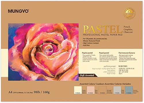 MUNGYO Professional Pastel Paper Pad. A4 Size Oil Pastel Paper, 30 Sheets (Soft Pastel Color Assorted), Drawing Board, Artist Paper, Art & Crafts, Hobby