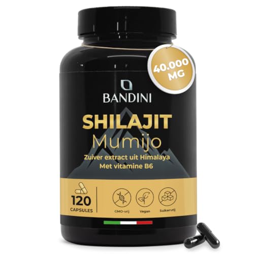 Bandini® Pure Himalaya Mumijo Shilajit 40.000 mg 120 vegane capsules