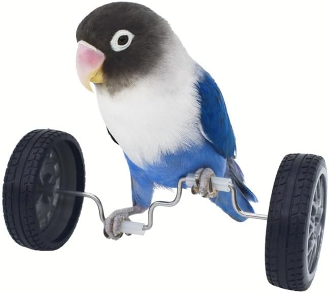 Bird Training Toys Set, 2 Piece Skateboard and Balance Bike for Parrots, Balance Training Accessories