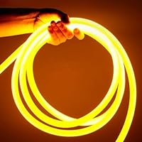 Amazon.co.jp: 100V ラウンド、320 度発光、EL蛍光チューブ管 LED