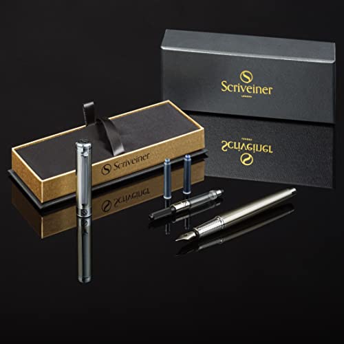 Scriveiner Stainless Steel Fountain Pen - Stunning Luxury Pen With Steel Finish, Schmidt Steel Nib (Fine), Best Pen Gift Set For Men & Women, Professional, Executive Office, Nice Designer Pens #TOP2