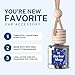 CANDECraftCo Car Air Hanging Fragrance Oil, Car Auto Freshener for Essential Oils, Scents Fragrance Aromatherapy Automobile Diffuser, Long Lasting (Eucalyptus & Mint)