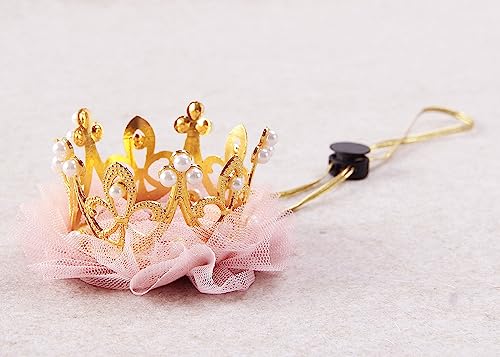 Nishine Gold Silber Krone Stirnband für Hund Katze Rosa Tüll Mesh Krone Tiara Haustier Krone Haarband Hut Party Kostüm (Gold)