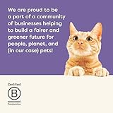 Applaws Natural Kitten Wet Food, Multipack Kitten Chicken and Tuna Selection in Jelly Pouch, (12 x 50g Pouches) - Image 7