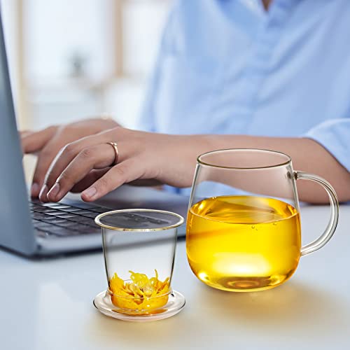 Glass Tea Infuser Cup With Strainer And Lid 3 In 1 Gift Kit, 17Oz Borosilicate Glass Teacup With Tea Filter For Blooming Tea And Loose Leaf Tea, Filter 99% Of Tea Leaves, Lead-Free, Microwave Safe #TOP3