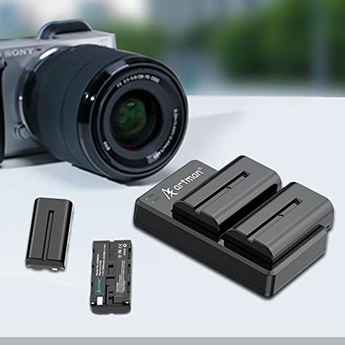 Artman Np-F550 Battery And Dual Usb Charger For Sony Np F550, F570, F530, F330, F970, F960, F750, F770, Ccd-Sc55, Tr516, Tr716, Tr818, Tr910 (2-Pack 2900Mah) #TOP5