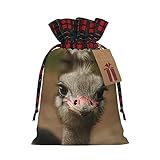 ラティス 巾着袋 クリスマス ラッピングバッグ クリスマス おやつバッグ クリスマス パーティー 記念品 ポーチ - かわいいダチョウ