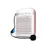 DWCJIE Draagbare oplaadbare spraakversterker, met draadloze microfoon headset en tailleband Personal Speaker Support…